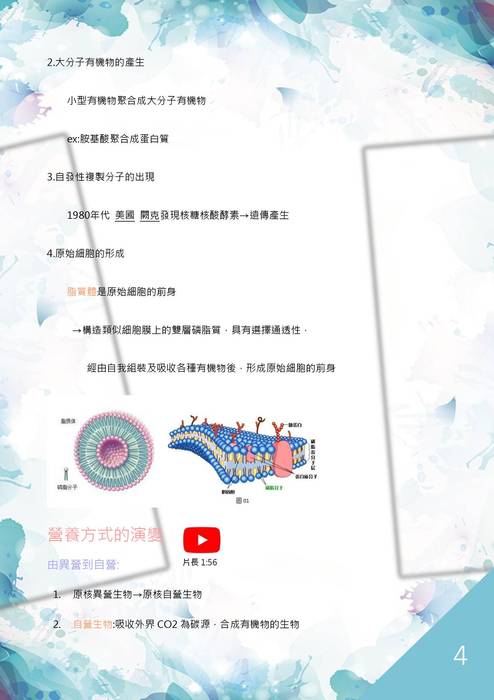 特優-黃靖淩_細胞的研究 特優-黃靖淩_細胞的研究