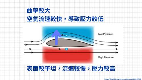 113學年度學習成果發表會-特優獎：董慧婕-仿生實驗