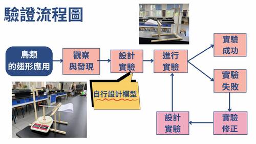 113學年度學習成果發表會-特優獎：董慧婕-仿生實驗