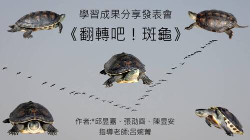 113學年度學習成果發表會-優選獎：邱昱嘉、陳昱安、張劭齊-翻轉吧！斑龜