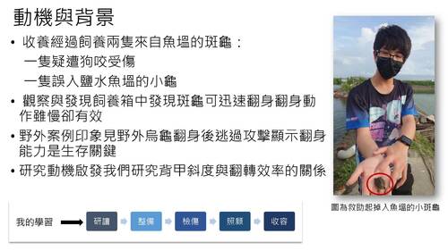 113學年度學習成果發表會-優選獎：邱昱嘉、陳昱安、張劭齊-翻轉吧！斑龜
