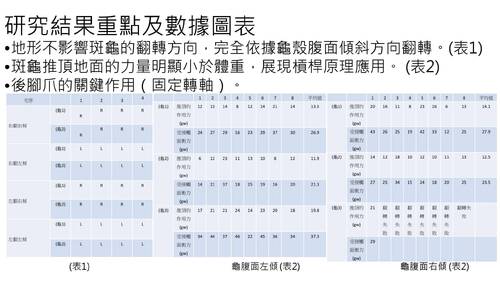 優選獎2